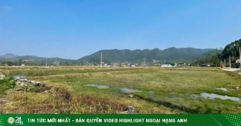 Môi giới tháo chạy khỏi khu vực sốt đất đấu giá