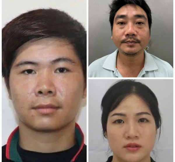 Khám phá ổ nhóm biến thịt lợn thành đặc sản nai, nhím, đà điểu, tuồn vào nhà hàng, siêu thị