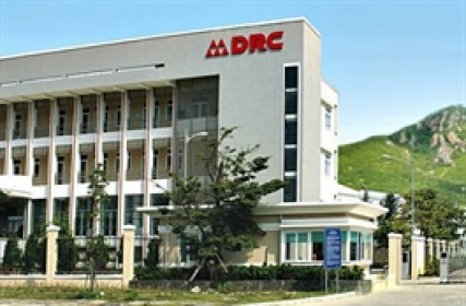 Lãi ròng DRC giảm 33% trong quý 4, bất chấp doanh thu tăng trưởng