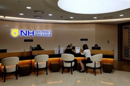 Quý 4/2025, NHSV hồi phục từ nền thấp