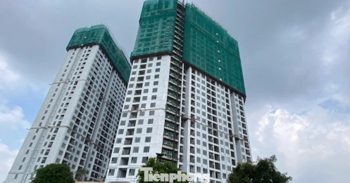 Phân khúc trụ cột của thị trường bất động sản 2026