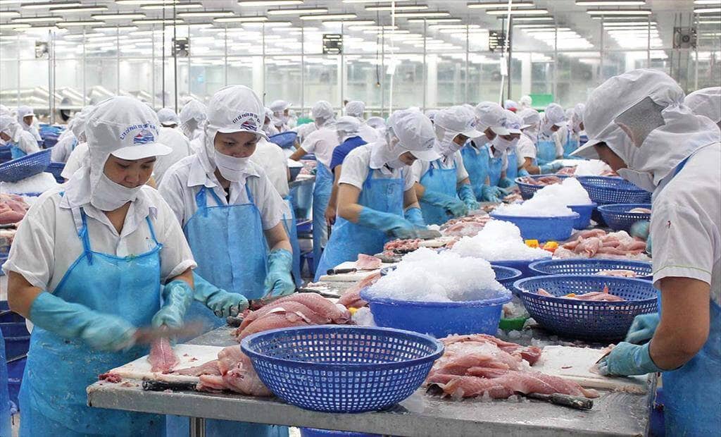 Xuất khẩu thủy sản lập kỷ lục hơn 11 tỉ đô la, Trung Quốc dẫn đầu