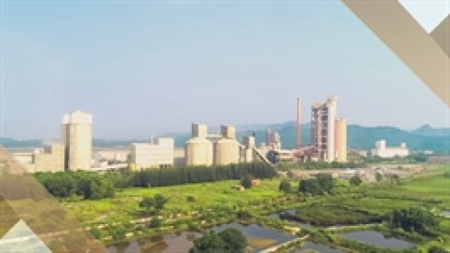 Lỗ năm thứ 3 liên tiếp, một công ty xi măng lâu đời có nguy cơ bị hủy niêm yết