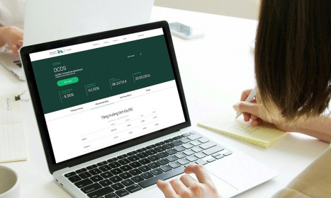 Lợi nhuận Dragon Capital giảm một nửa