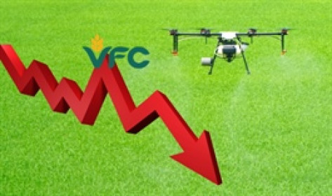 VFG giảm tốc sau năm đỉnh cao, lợi nhuận và thị giá đều trượt dài