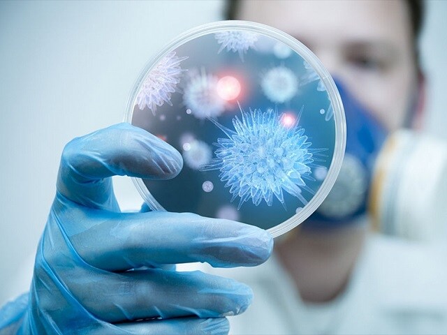 Bộ Y tế khuyến cáo người dân hạn chế đến khu vực có dịch bệnh do virus Nipah