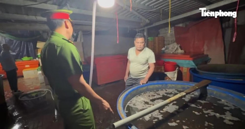 Kinh hoàng đường dây 'phù phép' 3.000 tấn thịt ốc bằng hóa chất công nghiệp