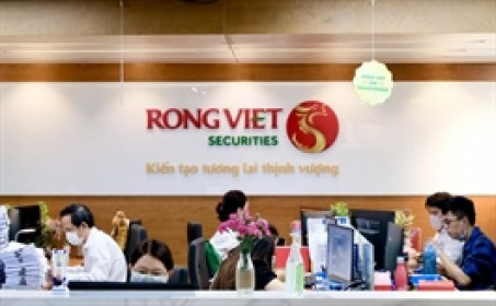 Nhóm Kido Foods, Nutifood trở thành cổ đông lớn tại Chứng khoán Rồng Việt