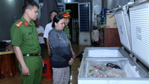 Khởi tố, bắt giam chủ cơ sở thu gom heo nhiễm dịch tả châu Phi về bán kiếm lời