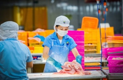 Lãnh đạo Nam Việt bán cổ phiếu khi thị giá lên đỉnh