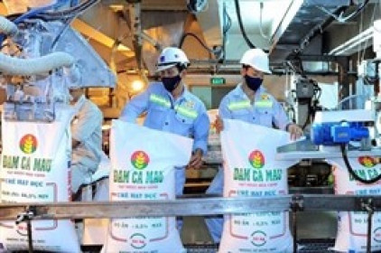 DCM tăng lãi 35% dù không còn lợi nhuận đột biến