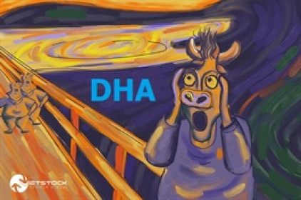 Cổ phiếu DHA “nằm sàn” dù báo lãi quý 4 gấp 3 lần