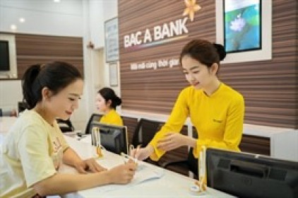 Tăng trưởng nhờ quý cuối năm, 80% nợ xấu Bac A Bank có khả năng mất vốn