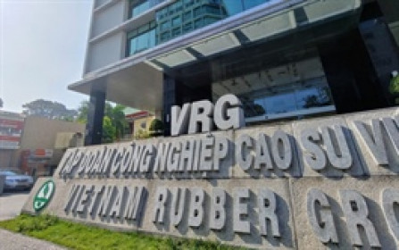 Cổ phiếu Tập đoàn Công nghiệp Cao su thăng hoa, nhưng lợi nhuận giảm gần nửa trong quý 4/2025