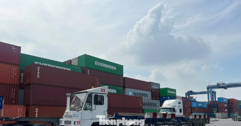 1.200 container hàng hóa ùn ứ tại cảng Cát Lái