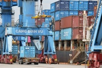 DVP thận trọng trong quý đầu năm 2026, đặt mục tiêu lợi nhuận giảm 13%