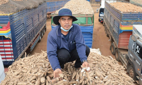 Lý do hàng nhập khẩu thực phẩm, nông sản ách tắc