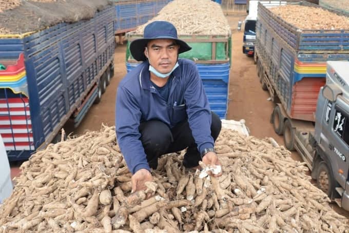 Lý do hàng nhập khẩu thực phẩm, nông sản ách tắc