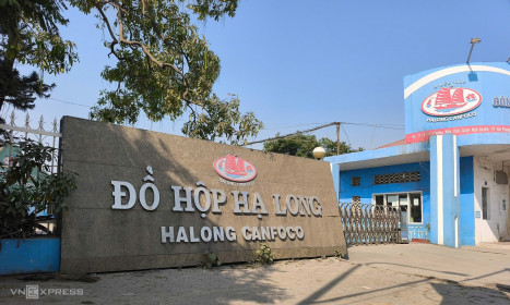 Đồ hộp Hạ Long lỗ trở lại quý cuối 2025