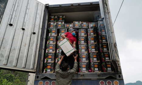 Trung Quốc chi gần 1,5 tỷ USD mua nông sản Việt đầu năm