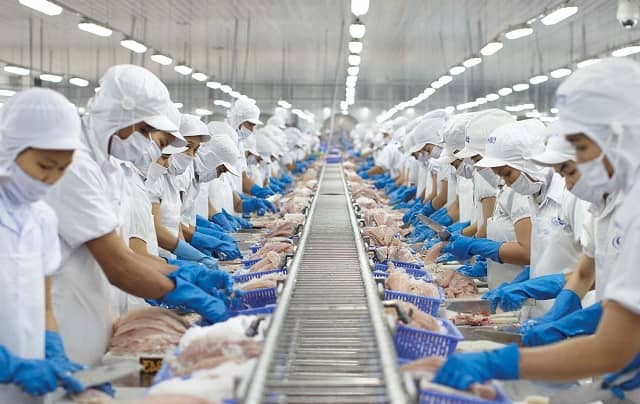 Cổ phiếu kịch sàn khi “nữ hoàng cá tra” Vĩnh Hoàn báo lợi nhuận giảm 47%