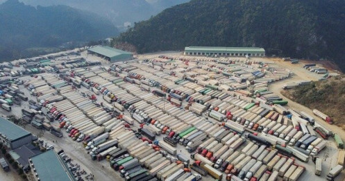 Cục Hải quan có chỉ đạo hoả tốc sau khi Nghị định 46 tạm dừng áp dụng