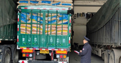 FFA kiến nghị sửa đổi căn cơ Nghị định 46