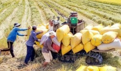 Ngành Nông nghiệp và Môi trường hướng tới tăng trưởng 2 con số năm 2026