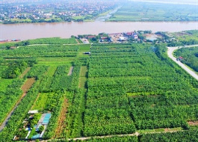 Trump International Hưng Yên được phép bán nhà cho người nước ngoài