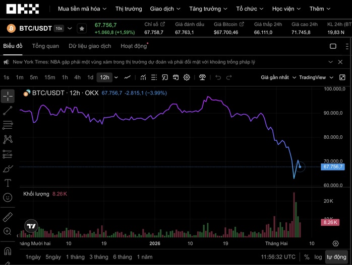 Hé lộ "ông lớn" âm thầm gom Bitcoin giữa lúc giá lao dốc