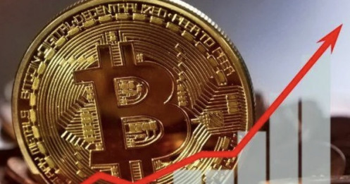 Hé lộ "ông lớn" âm thầm gom Bitcoin giữa lúc giá lao dốc