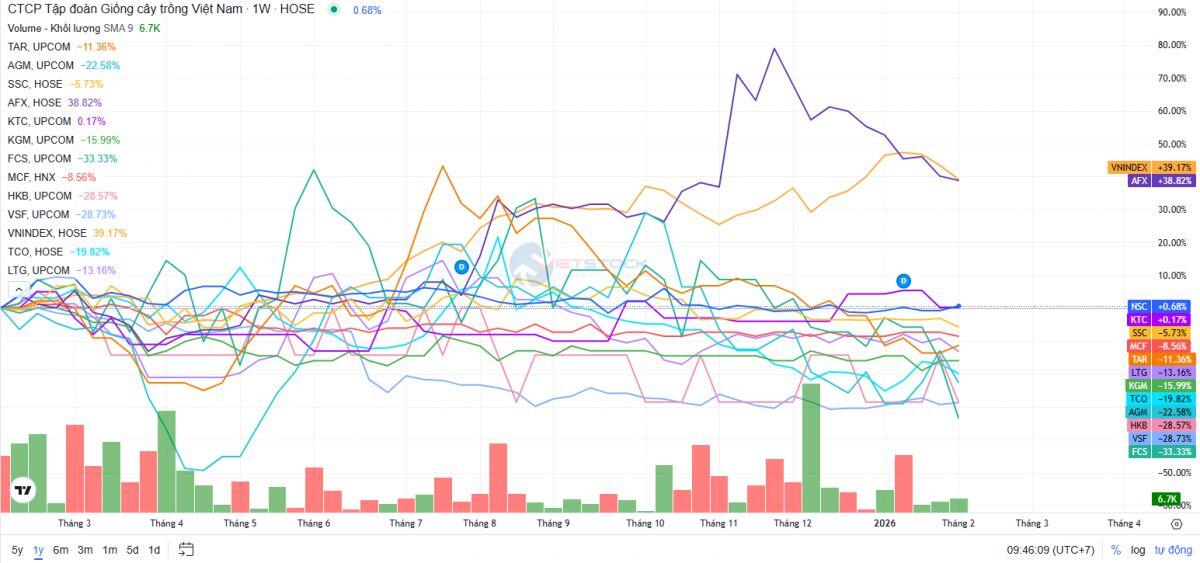 Ngành gạo 2025: Xuất khẩu hạ nhiệt, nhiều doanh nghiệp vẫn thắng lớn