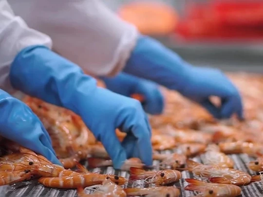 Tôm Việt trước áp lực cạnh tranh gia tăng khi Ấn Độ đẩy mạnh xuất khẩu sang EU