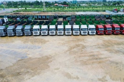 Xe thương mại có năm thắng lớn, ô tô du lịch mắc kẹt giữa cạnh tranh khốc liệt