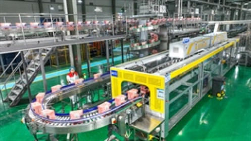 Một năm sau thuế quan Trump, nhà máy và cảng Trung Quốc vẫn rất sôi động