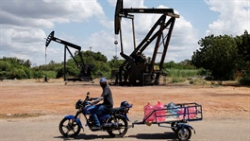 Giá dầu giảm 3% sau khi IEA hạ dự báo nhu cầu