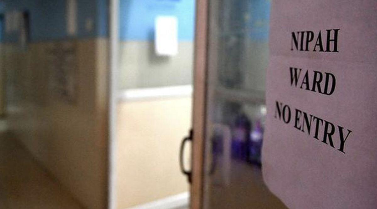Ấn Độ: Điều dưỡng tử vong sau khi nhiễm virus Nipah