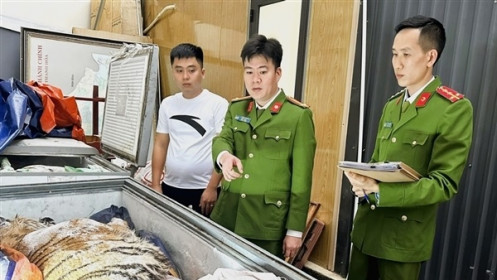 Mua hổ về nấu cao, 2 đối tượng ở Thanh Hoá bị khởi tố