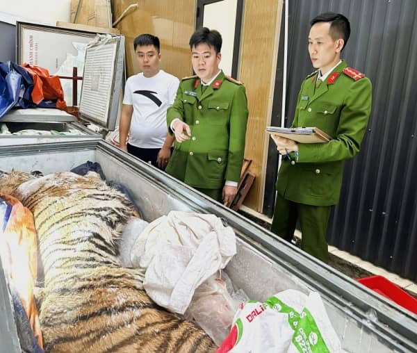 Mua hổ về nấu cao, 2 đối tượng ở Thanh Hoá bị khởi tố