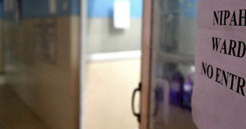 Ấn Độ: Điều dưỡng tử vong sau khi nhiễm virus Nipah