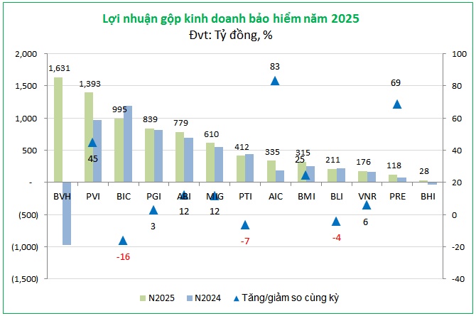 Bảo hiểm phi nhân thọ 2025 và chuyến tàu lượn lợi nhuận