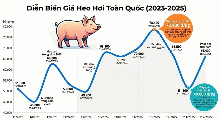 Chăn nuôi heo 2025: Nồi bánh chưng bên nào ‘có nhân ’?