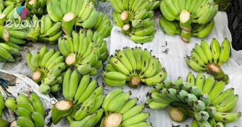 Chuối xanh tăng cao cận Tết, nải hàng trăm ngàn vẫn "cháy hàng"