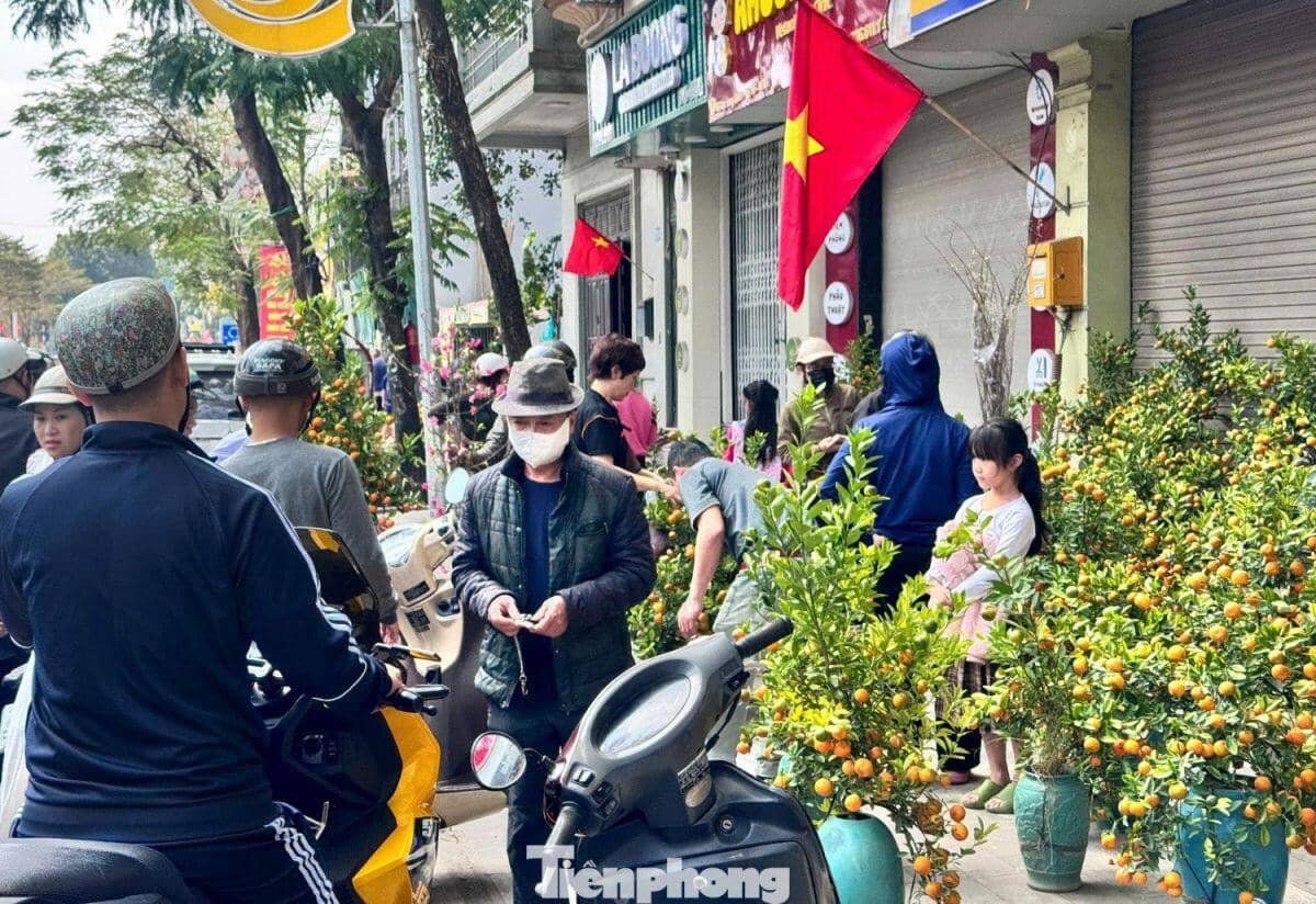 Đào, quất giảm giá sập sàn ngày 29 Tết