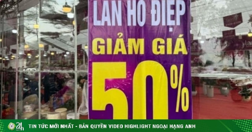 Cây cảnh, hoa chơi Tết giảm giá một nửa để xả hàng sớm