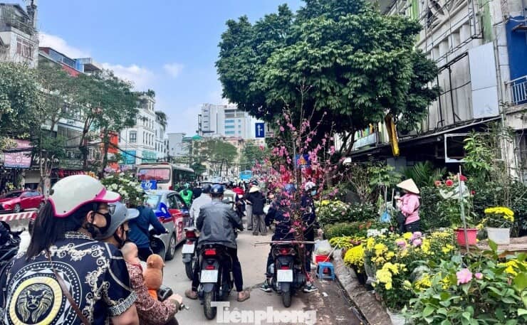 Đào, quất giảm giá sập sàn ngày 29 Tết