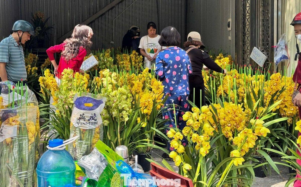 Đào, quất giảm giá sập sàn ngày 29 Tết