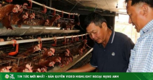 Nuôi gà đẻ kiểu gì mà một ông nguyên là công chức bàn giấy ở An Giang cứ qua 1 ngày là cầm 25 triệu ngon ơ?