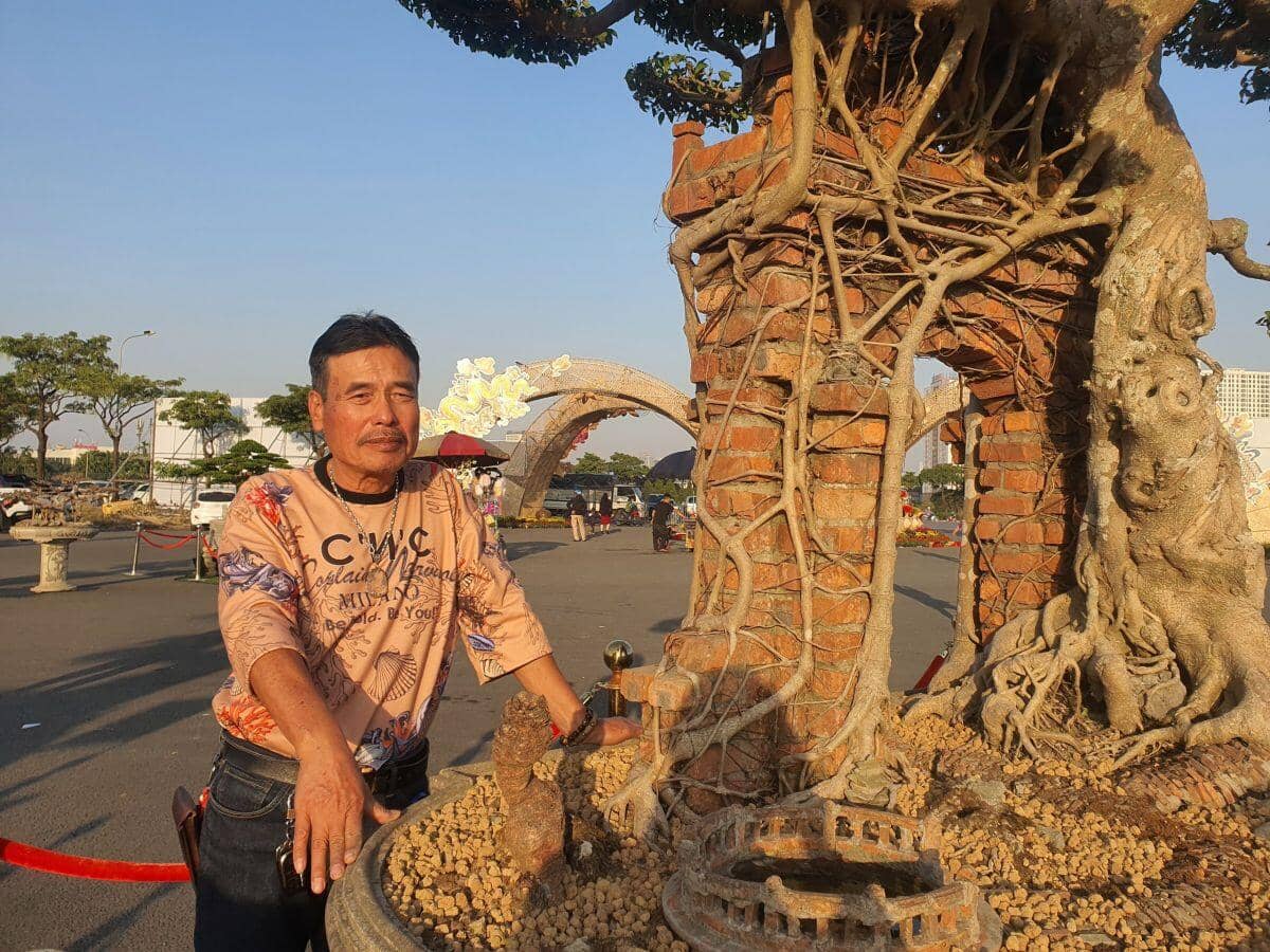 Ngắm cây sanh cổ từng được trả 100 lượng vàng, nhưng chủ nhân ở Hưng Yên không bán