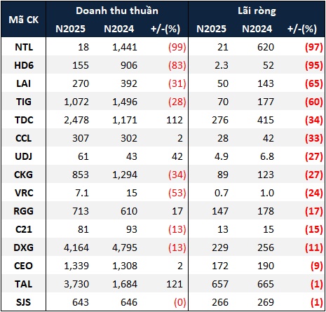 Bao nhiêu doanh nghiệp bất động sản nhà ở cán đích lợi nhuận 2025?